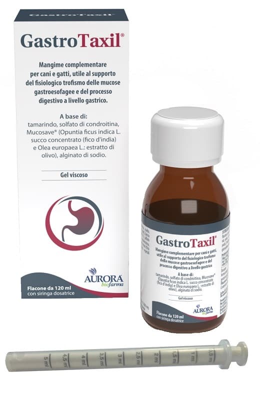 Gastrotaxil 120ml