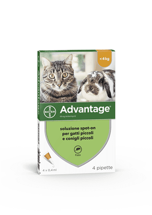 Advantage 40 mg Soluzione Antiparassitaria Spot-On Gatti e Conigli 4 Pipette