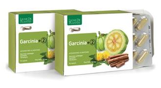GARCINIA+2 90 Cps NSE