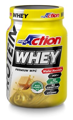 Proaction whey rich chocolate