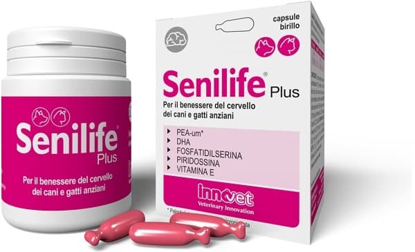 Senilife Plus Integratore per il Benessere del Cervello di Cani e Gatti Anziani 30 Capsule