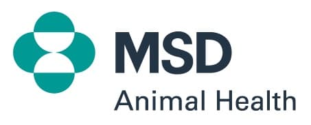 Intervet Aghi Unifine per VetPen 29g/12mm Misurazione Diabete Cani e Gatti 100 pezzi