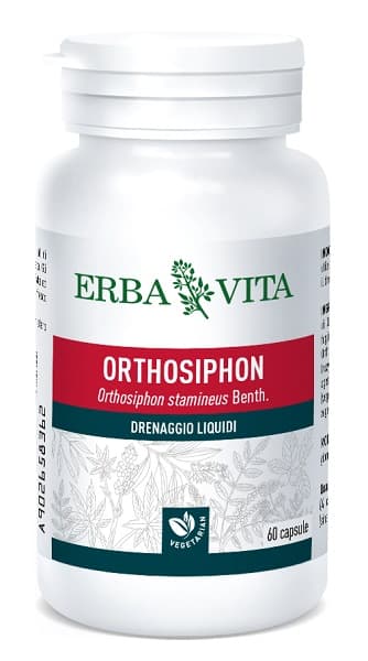 Ortosiphon 60 capsule 400 mg