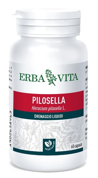 Pilosella 60 capsule 350 mg erba vita