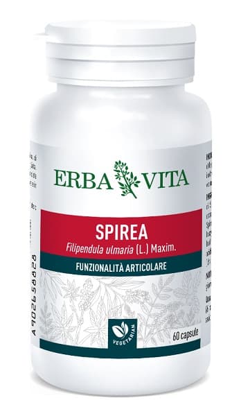 Erba Vita Spirea Ulmaria Integratore per le Articolazioni