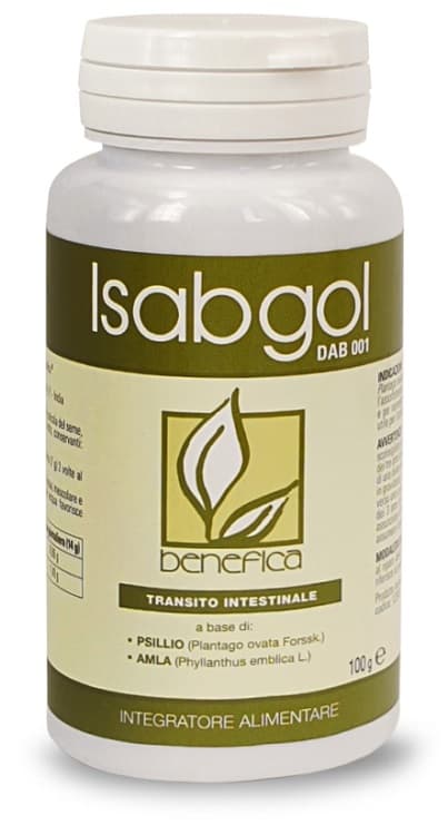 DAB 001 POLV ISABGOL 100G