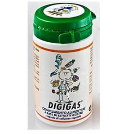 DIGIGAS INTEGRAT 60CPS 22,8G