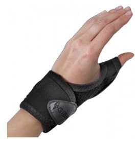 Gibaud-ort.rhizogib sx 1