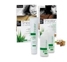 Tricolor 5,3 castano chi dor