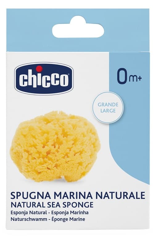 Chicco spugna marina grande