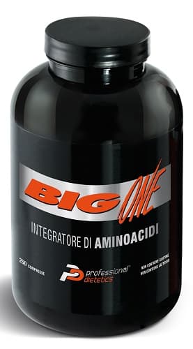 BIG ONE INT 250CPR 230G**