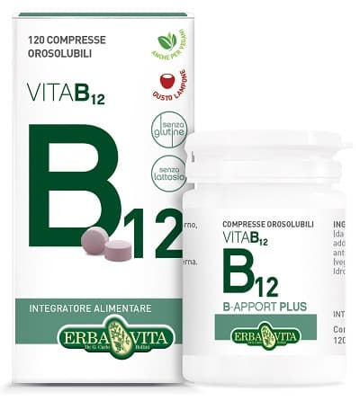 Erba Vita B-Apport Plus Integratore Vitamina B 24 g