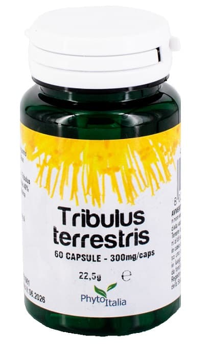 Tribulus Terrestris 60Cps