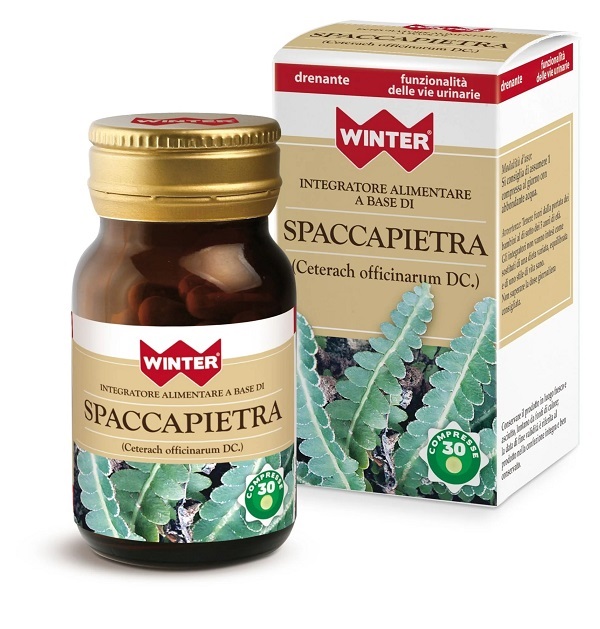 SPACCAPIETRA 30CPR WINTER