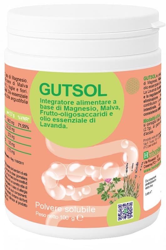 Gutsol 100 G