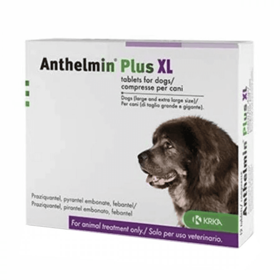 ANTHELMIN PLUS XL 2CPR