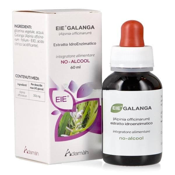 GALANGA 60ML GTT