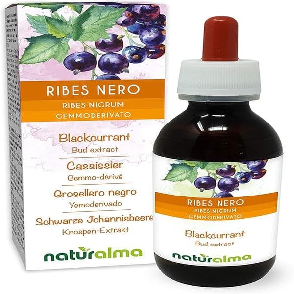 Circ ribes nigrum gemmoderivato 33 bio 500 ml