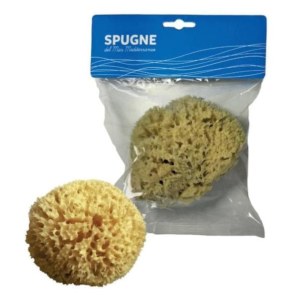 Spugna mare naturale arcipelago 8 cm scatola porta spugnetta