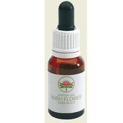 Bush Flower Essences Fiori Australiani Red Grevillea Gocce 15 ml