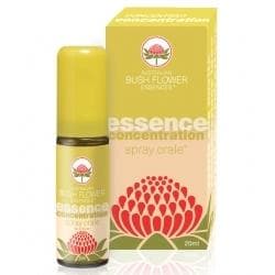 CONCENTRATION SPRAY ORALE 20ML