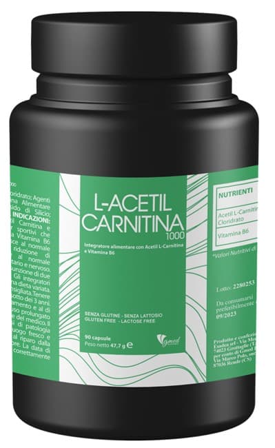 L ACETIL CARNITINA1000 90Cps