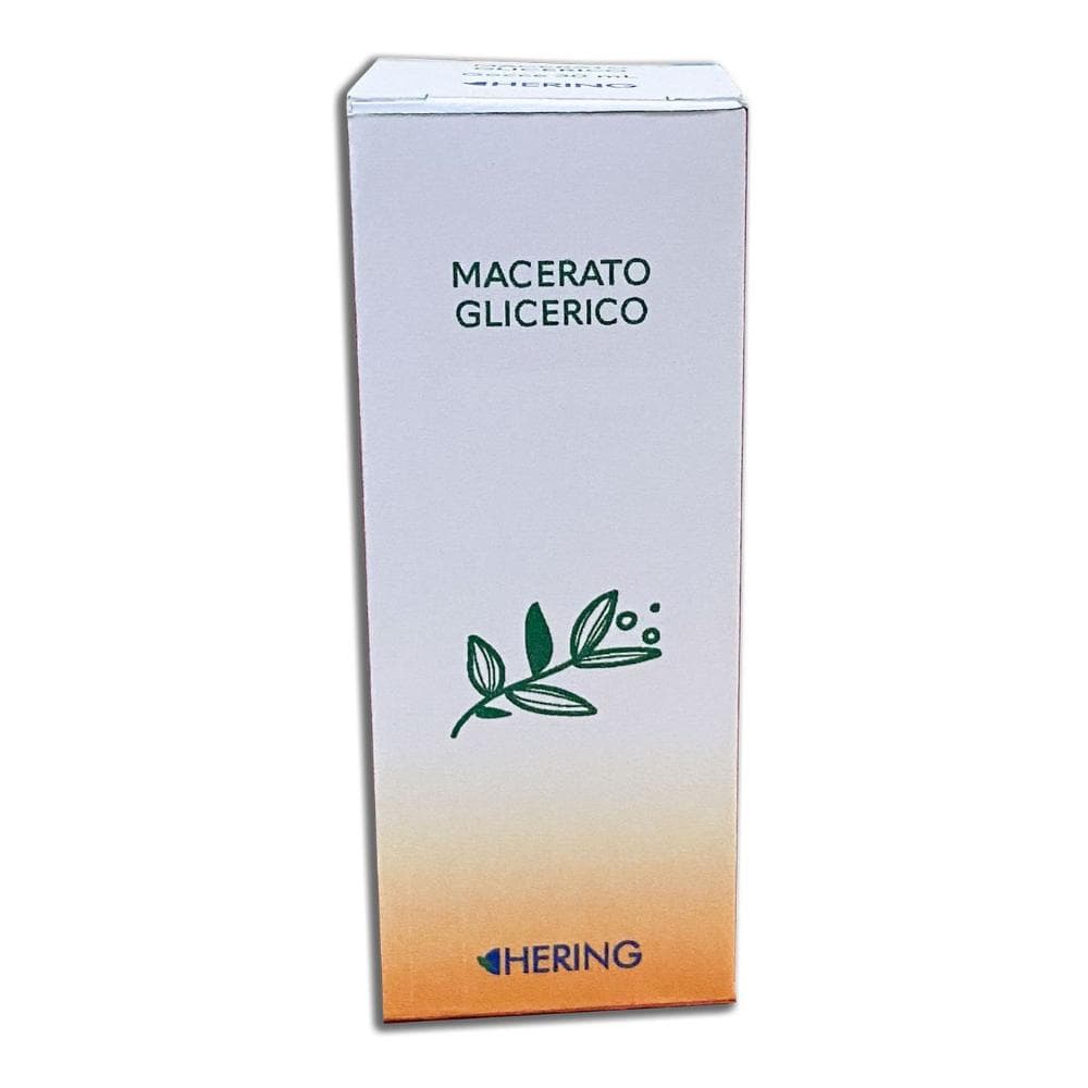 Abies Pectinata Gemme 60ml Mg