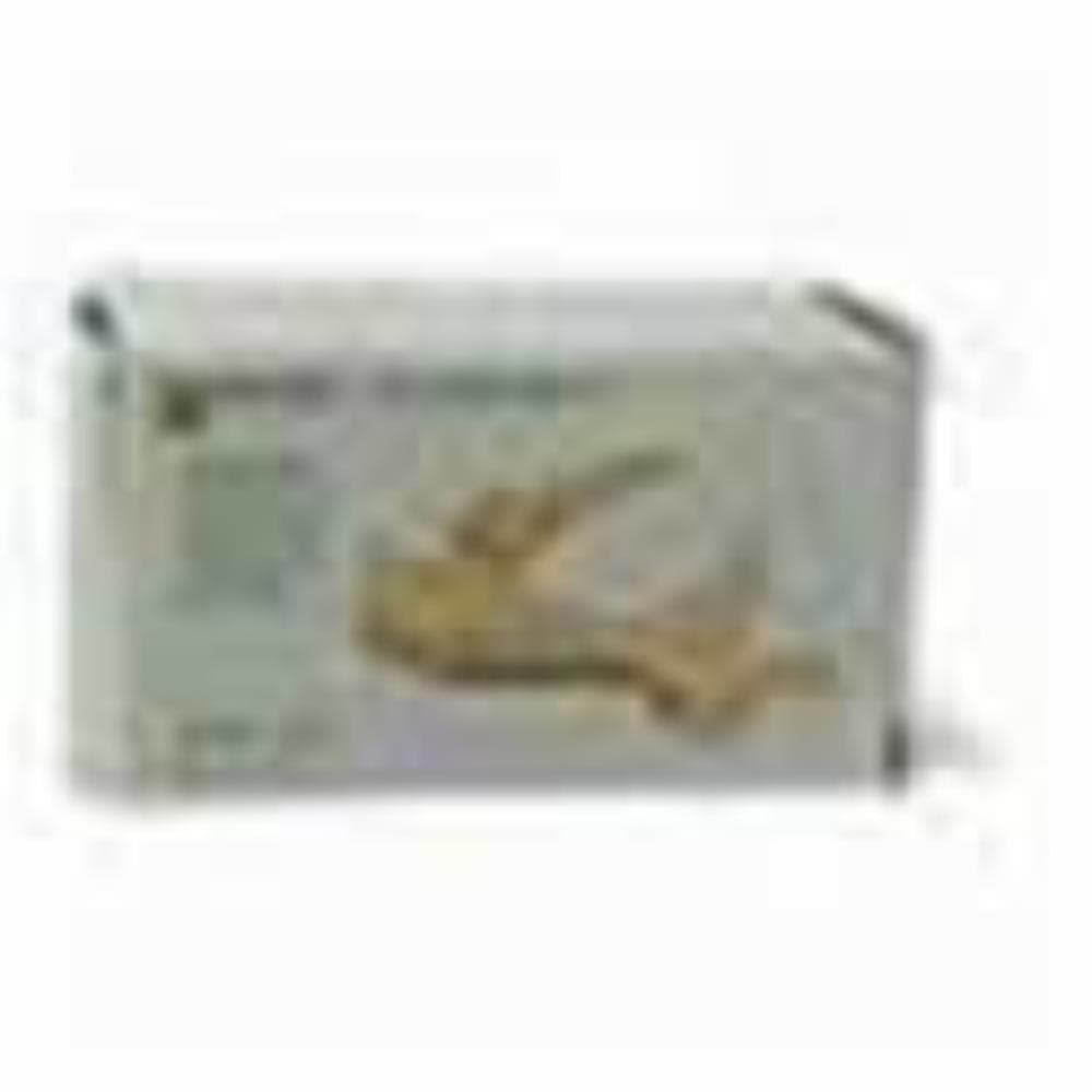 Dauerbinde F Benda ad Elevato Allungamento cm 6x7 m 1 Pezzo