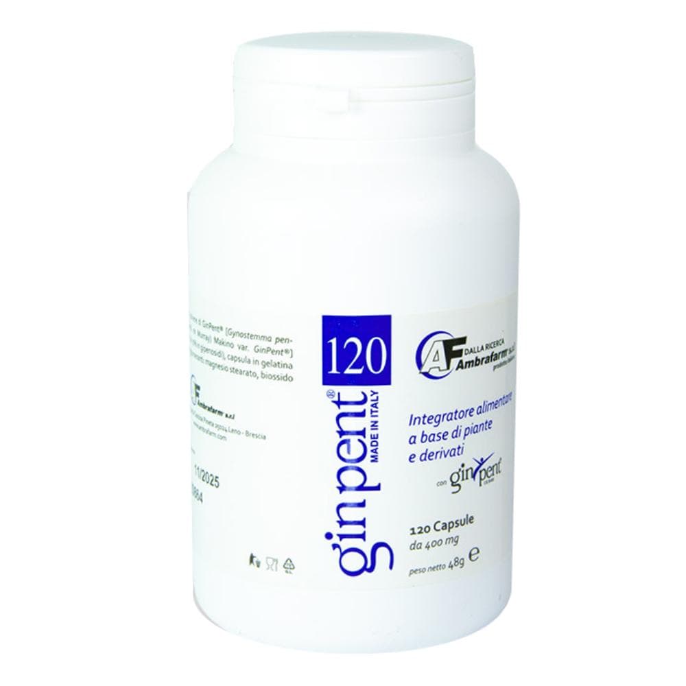 Ginpent 120 capsule 400 mg