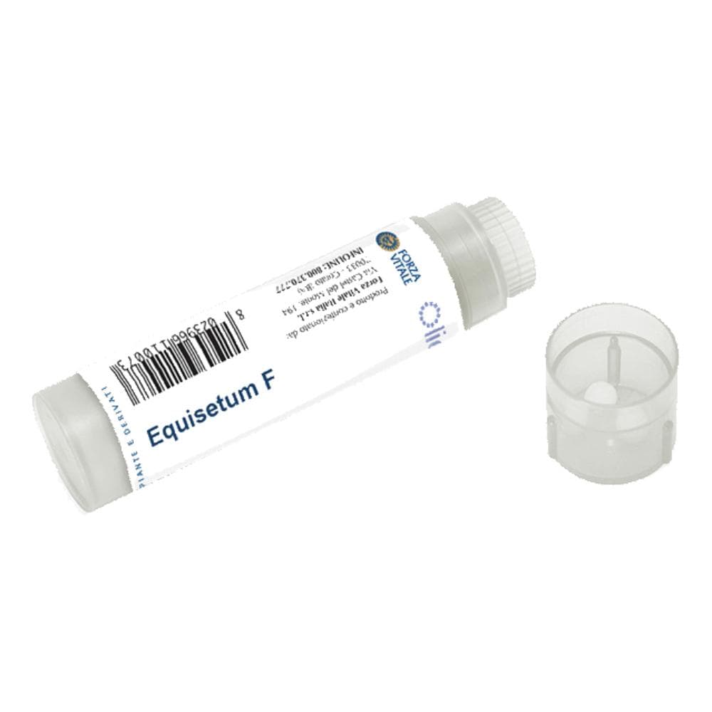 Equisetum f 100 globuli