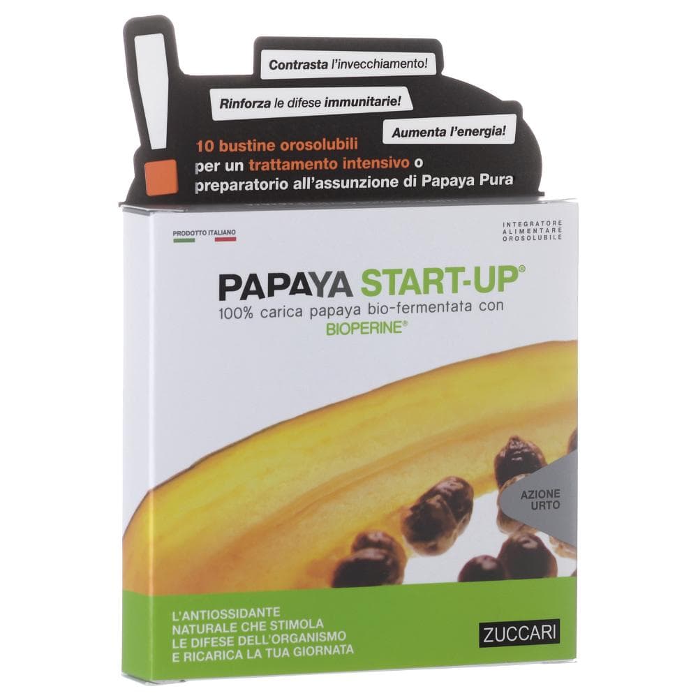 Papaya startup 10 bust.zuccari