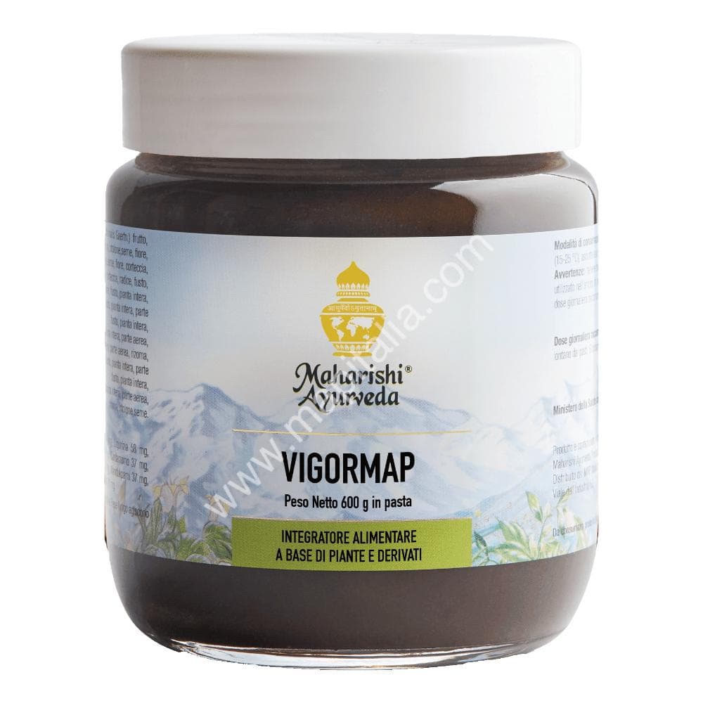 Vigormap Integratore Convalescenza Pasta 600 Gr