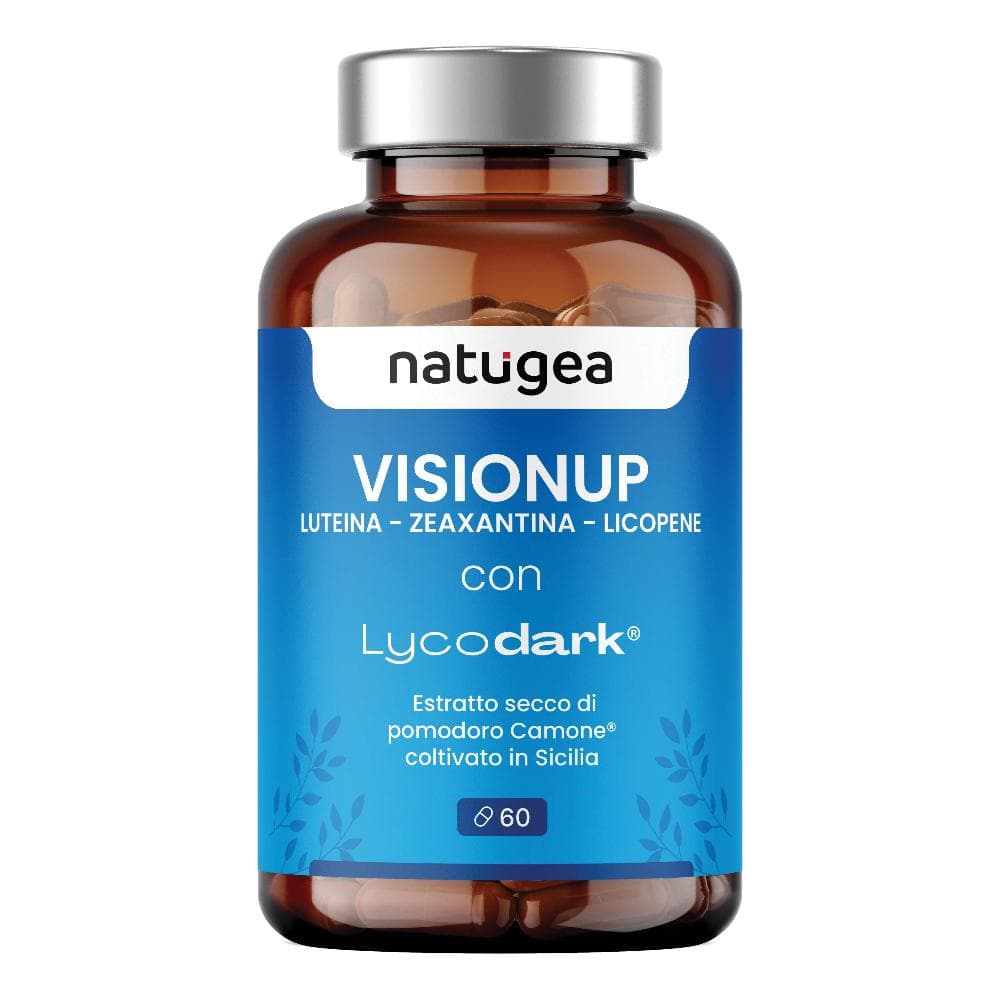 Visionup 60 Compresse