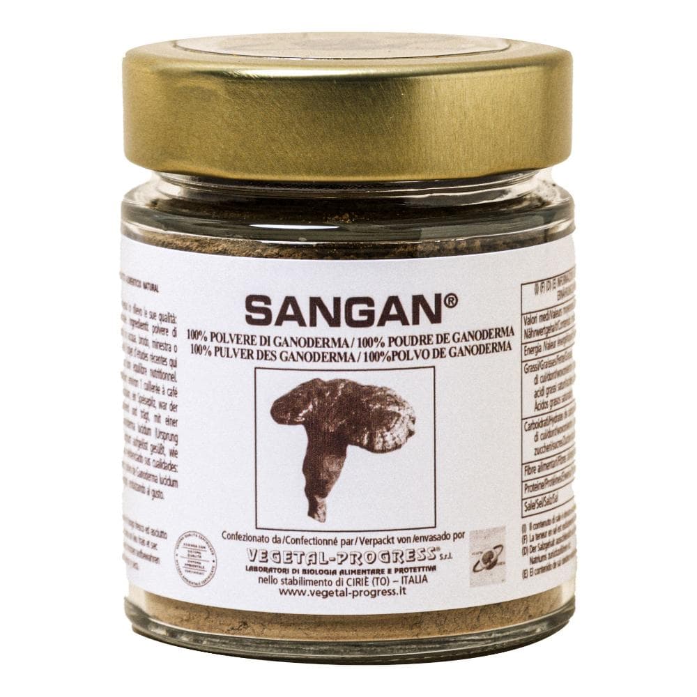 SANGAN POLVERE GANODERMA 45G