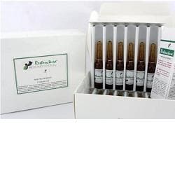 RESTRUCTURA SIERO ANTIRUGHE 5ML 12