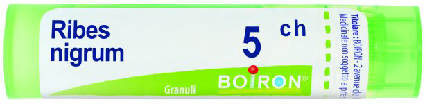 Ribes Nigrum 5Ch Granuli Multidose Boiron