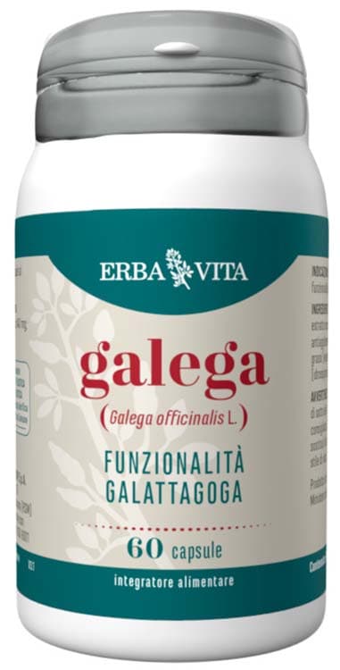 Galega 60 Capsule