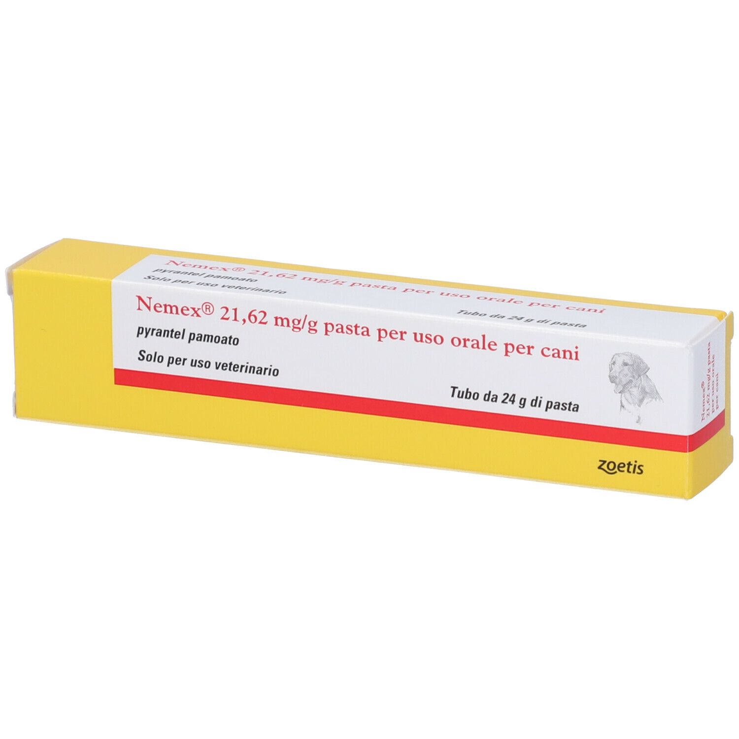 NEMEX-CANI PASTA 24 GR VET