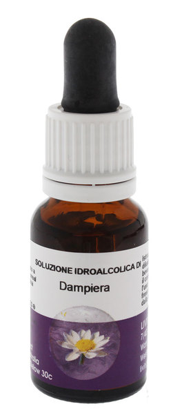 Dampiera Ess 15Ml Aust