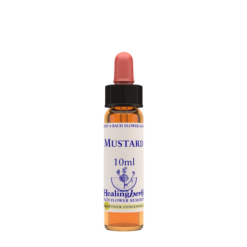Mustard Essenza 10 Ml 1 Pezzo