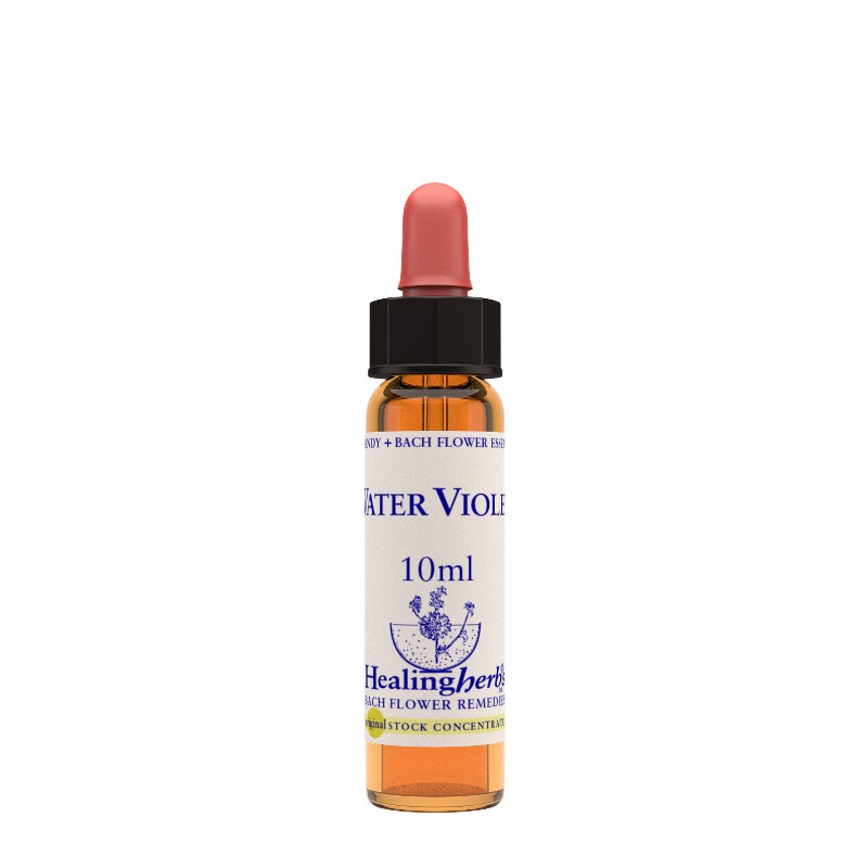 WATER VIOLET ESS 10ML ING B034