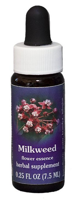 Milkweed Ess 7,4Ml Calf