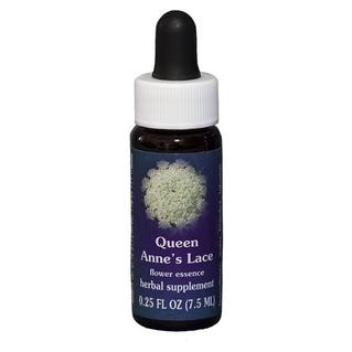 QUEEN ANNES LACE 7,4ML CALF