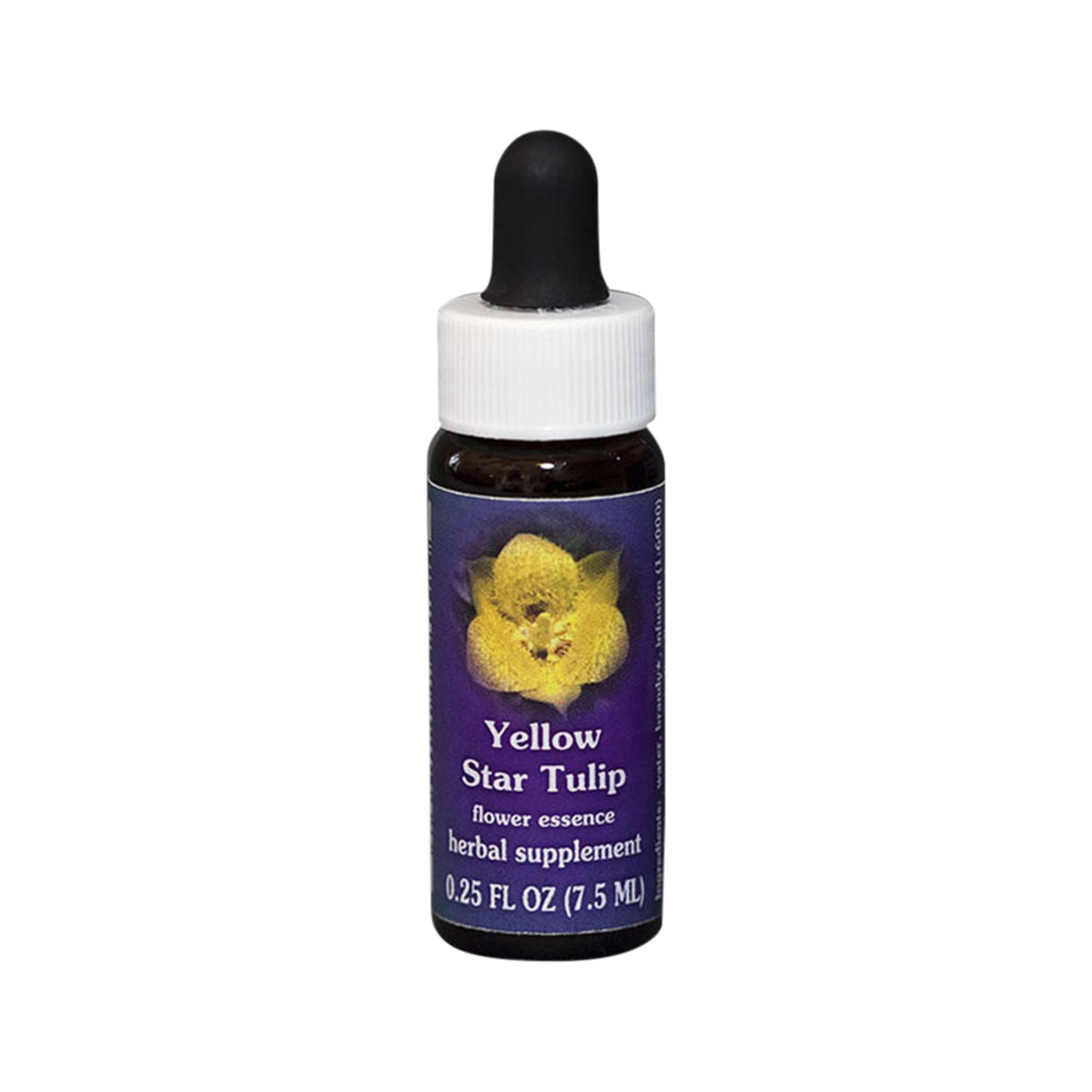 Yellow Star Tulip 7,4Ml Calf