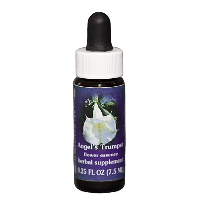 ANGELS TRUMPET ESS 7,4ML CALF