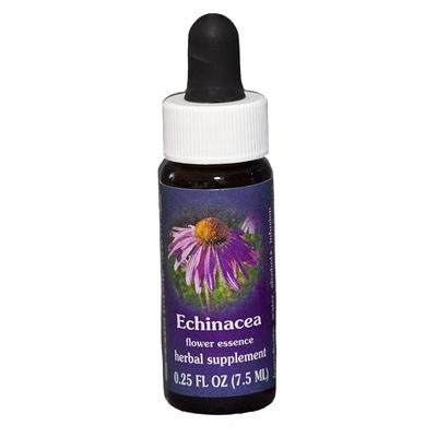 Echinacea Ess 7,4ml Calf