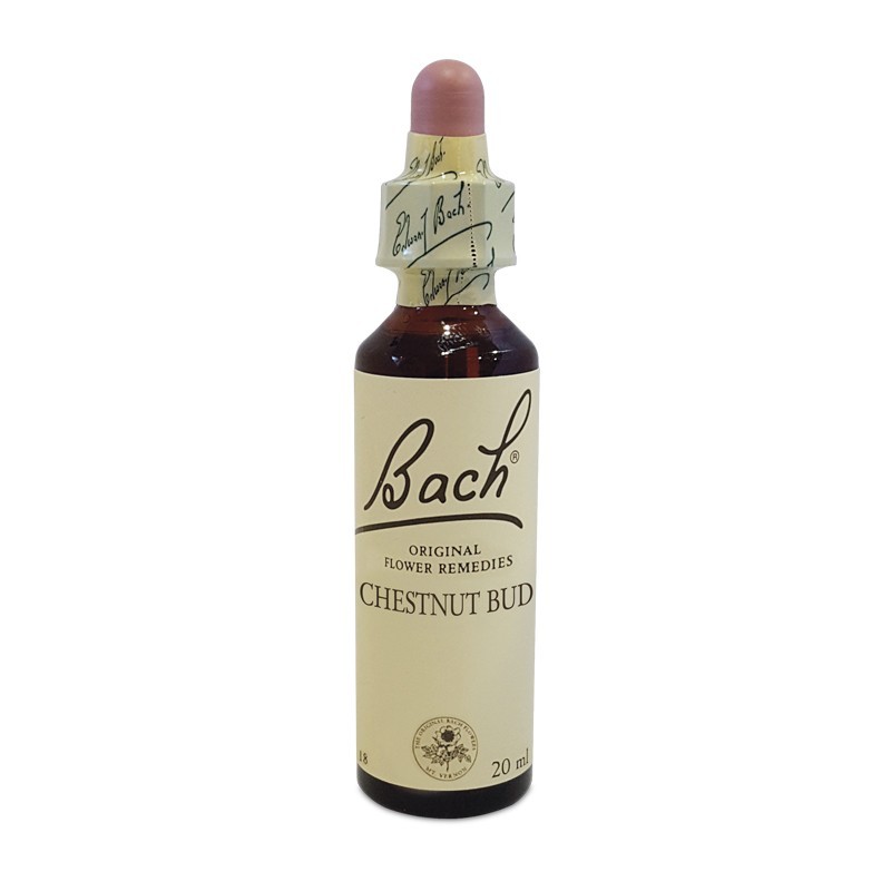 Bach Center Ess Chestnut 20Ml
