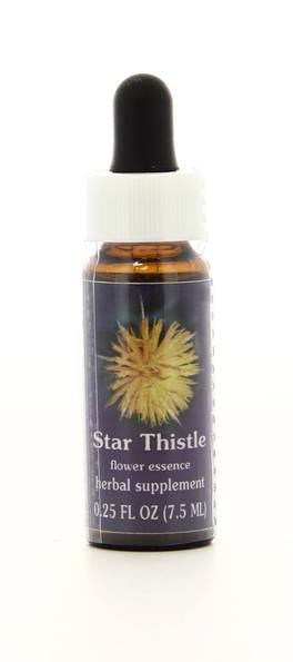 Star Thistle Ess 7,4Ml Calf