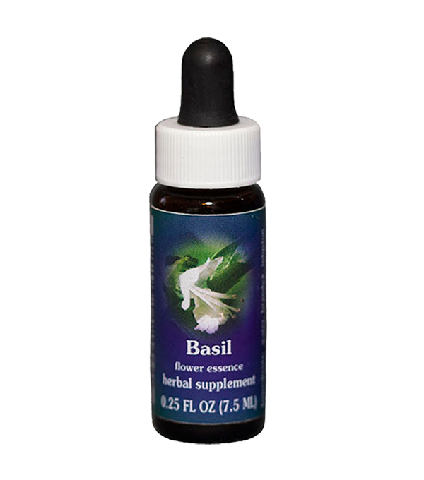 Basil Ess 7,4Ml Calf