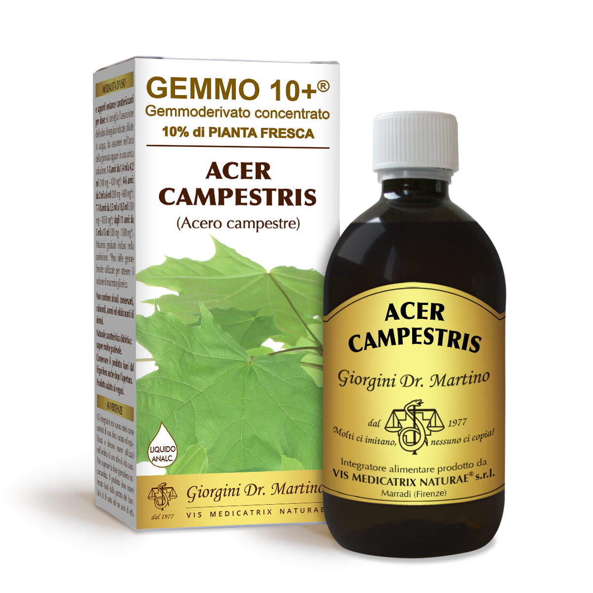 ACERO CAMP 500ML ANALCO GEM10+